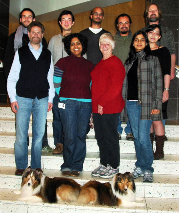 Zamvil Lab